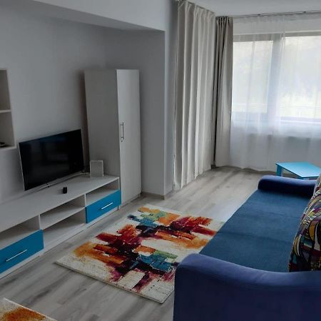 Dorin Colina Marei Apartment Sinaia Luaran gambar
