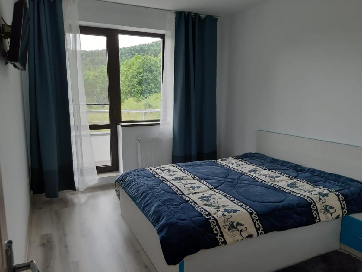 Dorin Colina Marei Apartment Sinaia Luaran gambar