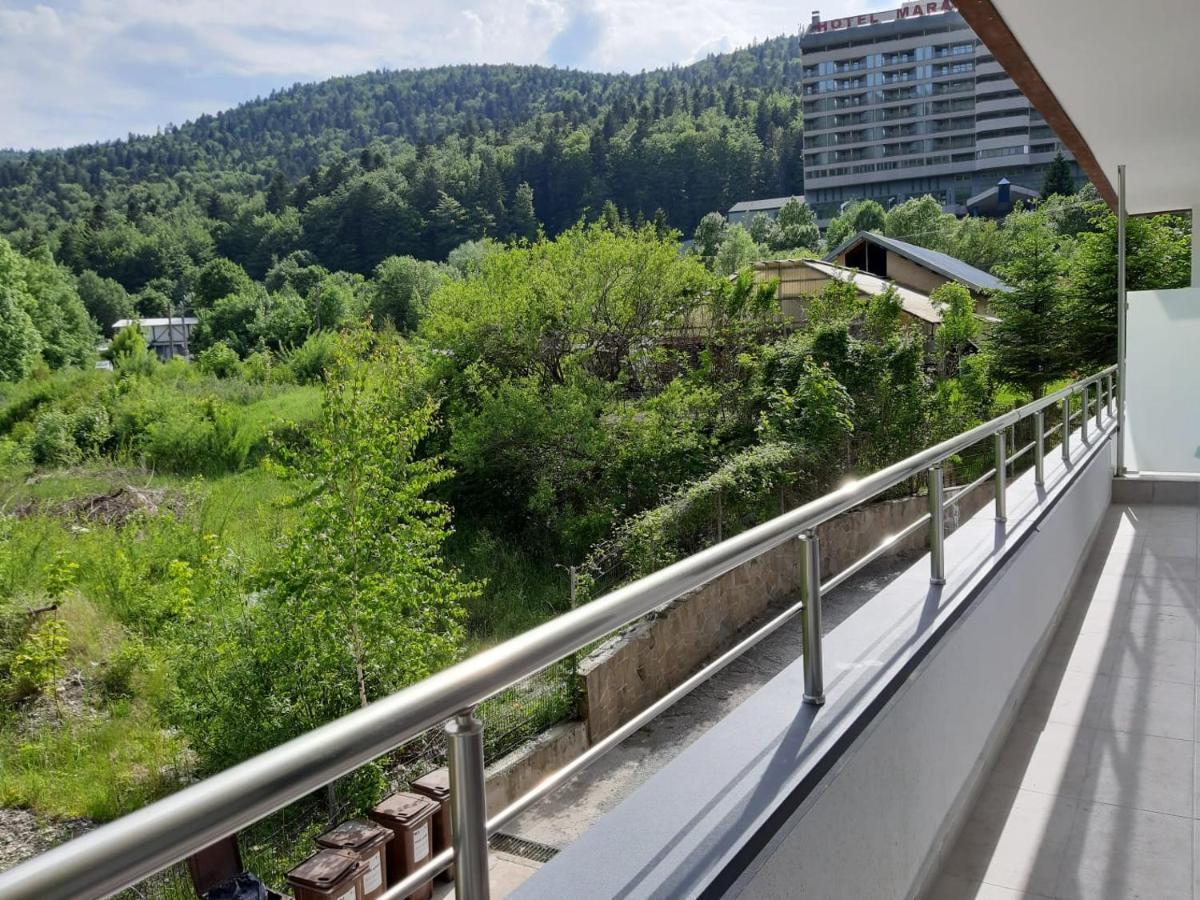 Dorin Colina Marei Apartment Sinaia Luaran gambar