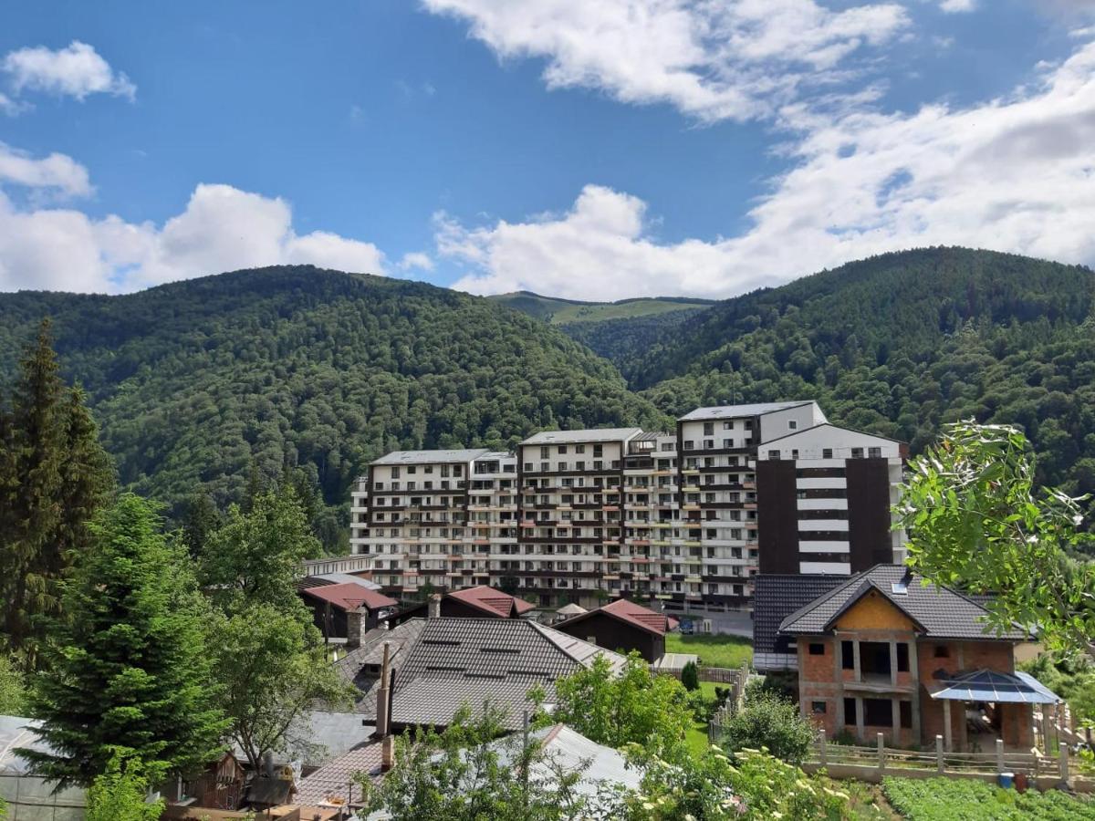 Dorin Colina Marei Apartment Sinaia Luaran gambar
